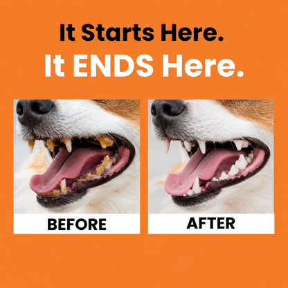 MelaoPaws™ Cat Dental Oral Solution